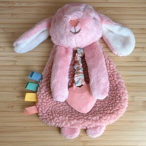 Itzy Ritzy Pink Bunny